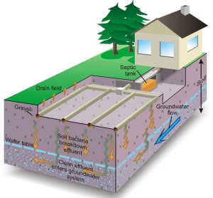 Septic System Percolation